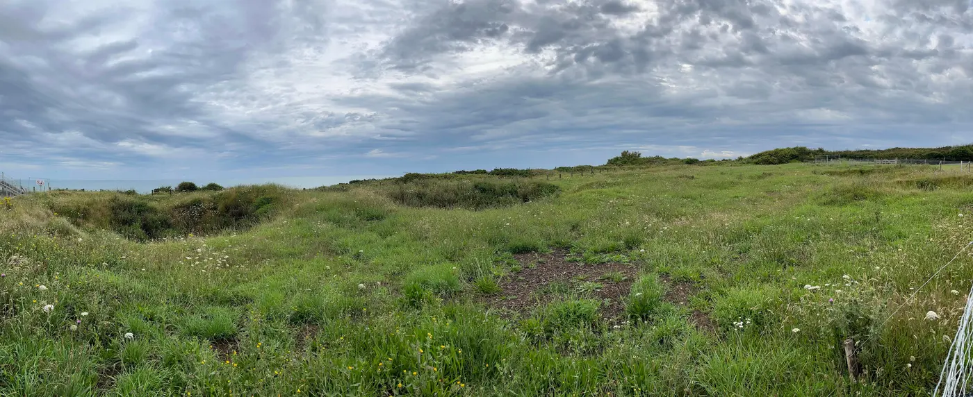 Overlapping grassed-over bomb craters covering the clifftop at Pointe du Hoc.